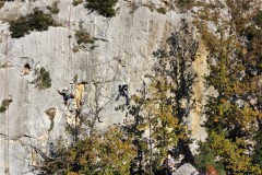 dji_fly_20241201_130920_508_1733055001675_photo_optimized