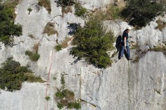dji_fly_20241201_131550_515_1733055364022_photo_optimized