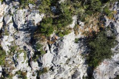 dji_fly_20241201_132038_531_1733055656274_photo_optimized