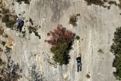 dji_fly_20241201_150104_535_1733061695296_photo_optimized