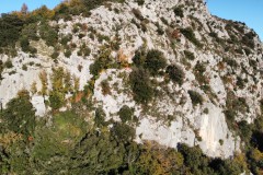 dji_fly_20241201_150140_537_1733061801028_photo_optimized