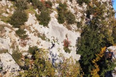 dji_fly_20241201_160156_558_1733065367976_photo_optimized