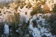 dji_fly_20241201_161918_571_1733066366375_photo_optimized