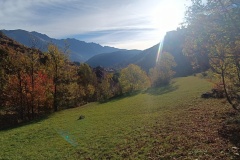 IMG_20251019_094438