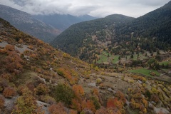 IMG_20251019_160637