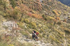 IMG_8441