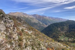 IMG_8450