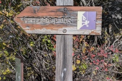 PXL_20251019_083224015.MP_
