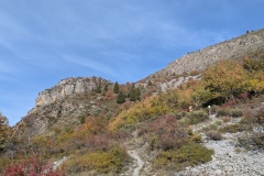 PXL_20251019_083643484