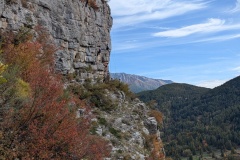 PXL_20251019_110950290