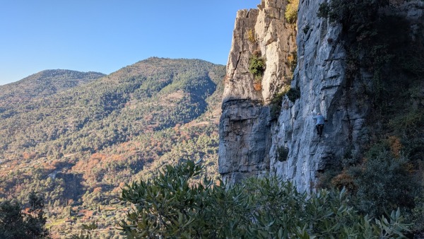 PXL_20251214_094130713.MP_