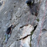 PXL_20251214_094544592