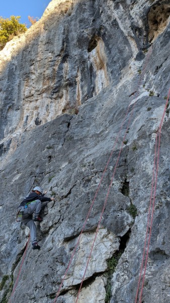 PXL_20251214_094619522.MP_