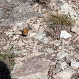 PXL_20251214_112041099.MP_