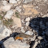 PXL_20251214_112052338