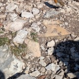 PXL_20251214_112054237