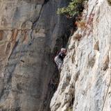 PXL_20251214_120225415.MP_