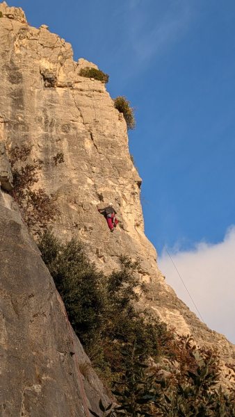 PXL_20251214_150313632.MP_