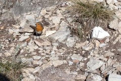 PXL_20251214_112041099.MP_