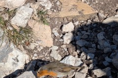 PXL_20251214_112052338