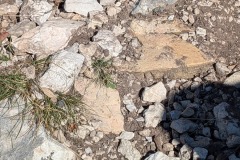 PXL_20251214_112054237