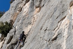 PXL_20251214_121506267