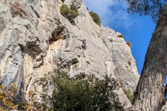 PXL_20251214_134842937.MP_