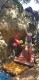 IMG-20220411-WA0006