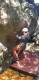IMG-20220411-WA0015