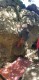 IMG-20220411-WA0017