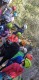 IMG-20220411-WA0026