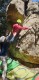 IMG-20220411-WA0042