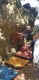 IMG-20220411-WA0049
