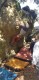 IMG-20220411-WA0050