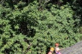 PXL_20260927_095540759