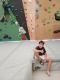 IMG_20250615_155454754_MFNR