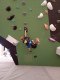 IMG_20250615_160122214_MFNR