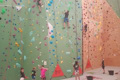 IMG_20250615_103324629_MFNR