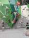 IMG-20250320-WA0002