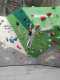 IMG-20250320-WA0004