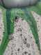 IMG-20250320-WA0009
