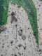 IMG-20250320-WA0017