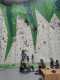 IMG-20250320-WA0024