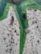 IMG-20250320-WA0028