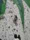 IMG-20250320-WA0031