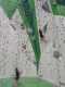 IMG-20250320-WA0035