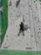 IMG-20250320-WA0036