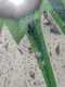 IMG-20250320-WA0042