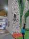 IMG-20250320-WA0046