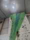 IMG-20250320-WA0047